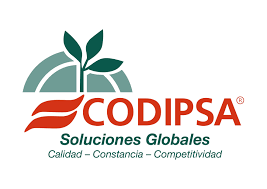 Logo von Codipsa Solutions Global